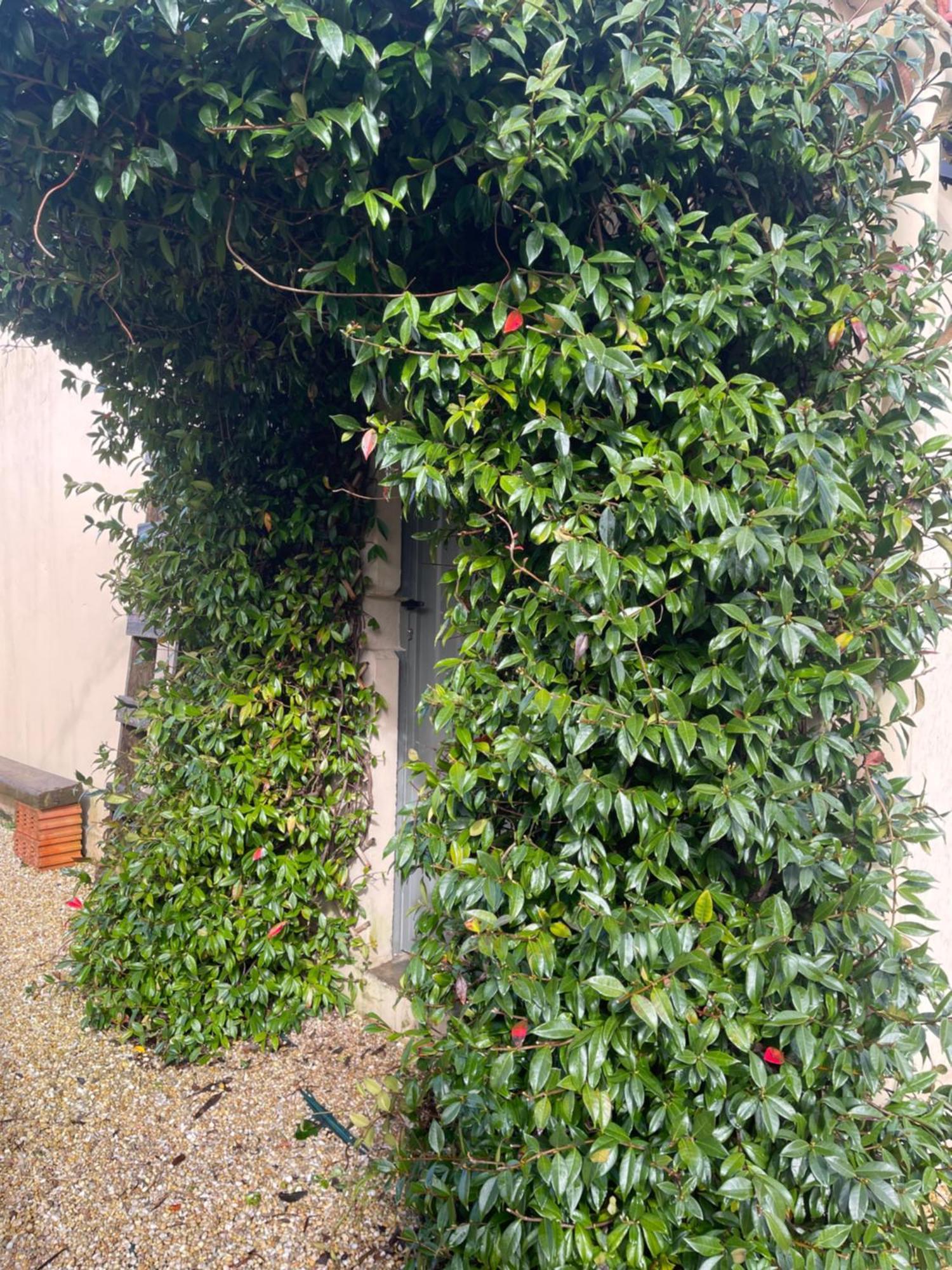 Villa La Casa Da Pipa Cesuras Exterior foto